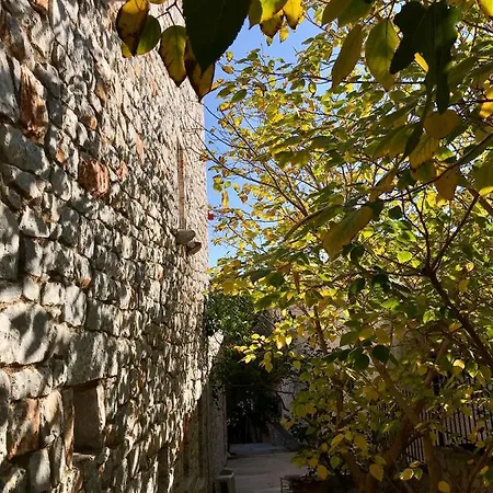 Aparthotel Demestihas Mavrovoúnion